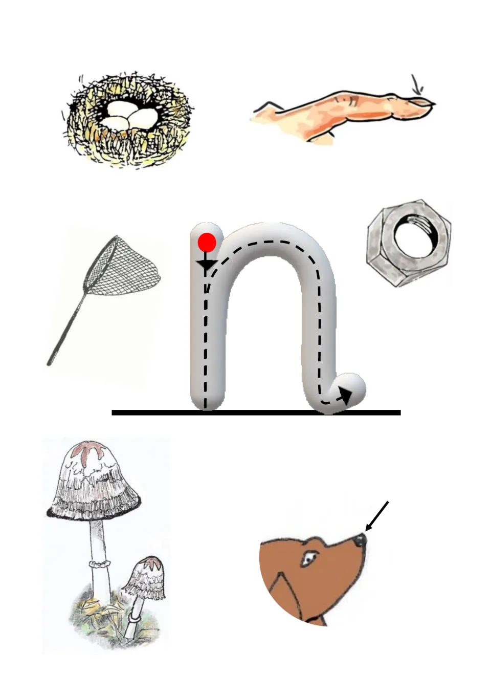 Letter n initial sound: children trace a dotted n, then pick out a nest, nail, net, nut and a dog's nose