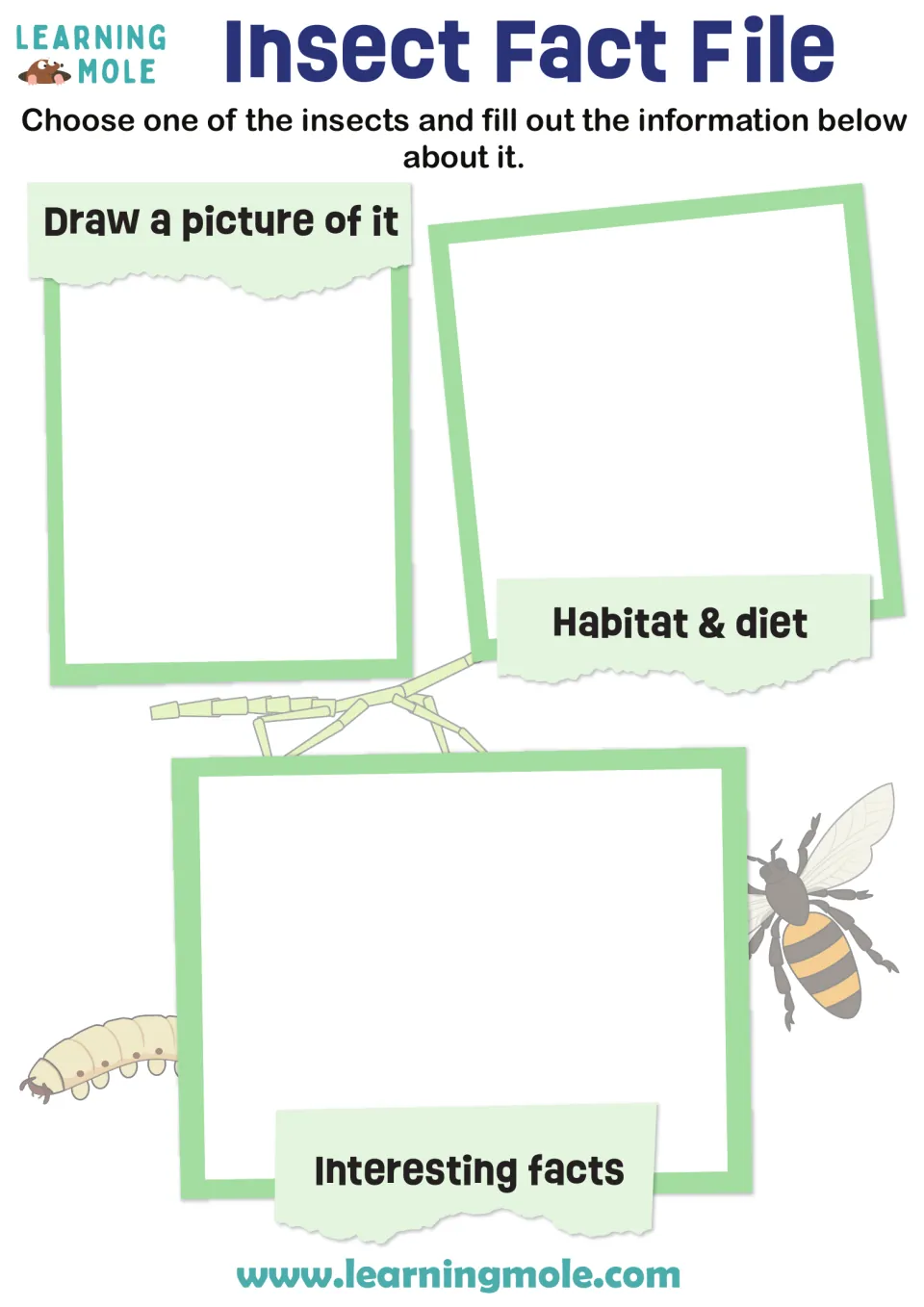 Insect research: students choose an insect, draw it, then record its habitat and diet and some interesting facts
