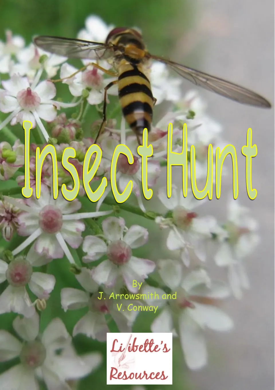 Insect Hunt cover by J. Arrowsmith and V. Conway: a close-up photo of a striped fly feeding on white flowers