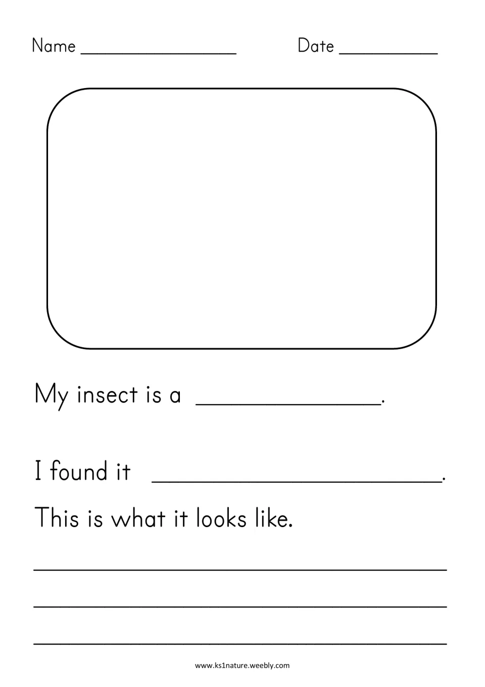 Insect recording sheet: students draw their insect, name it, say where they found it and write what it looks like