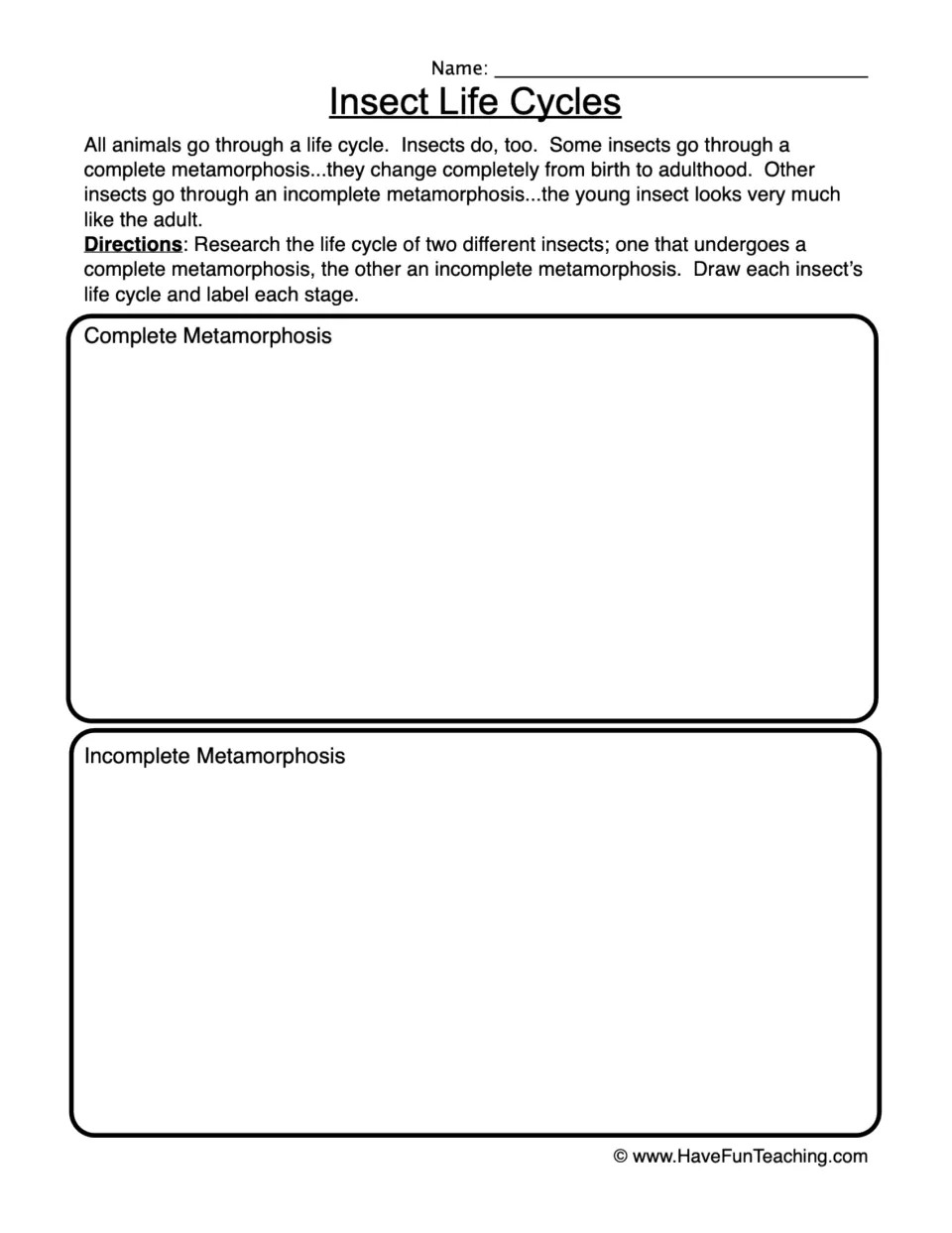 Insect metamorphosis: students research two insects, then draw and label complete and incomplete life cycle stages