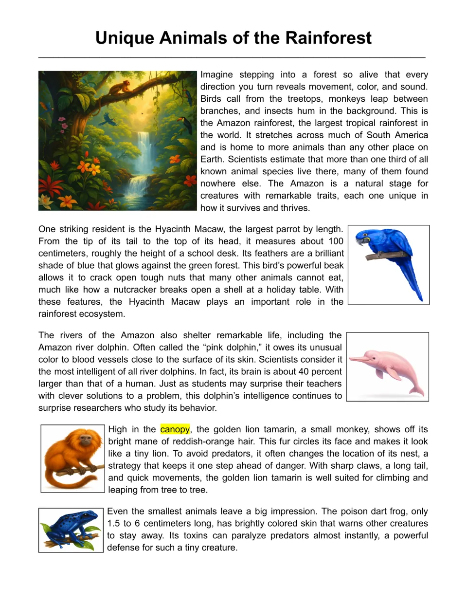Unique Animals of the Rainforest passage: students read about the Hyacinth Macaw, river dolphin, tamarin and frog