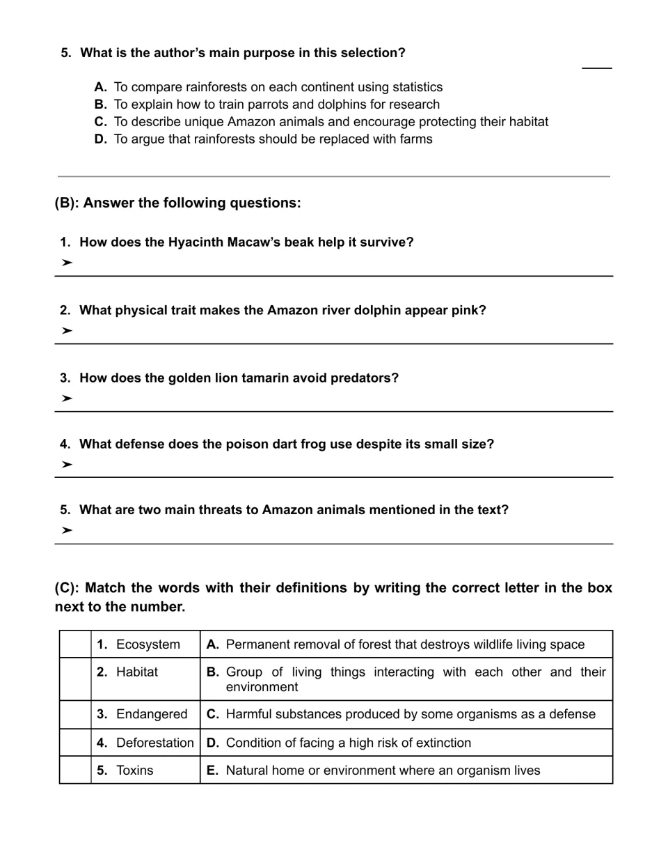 Rainforest comprehension: question 5, short written answers on animal traits, and matching five vocabulary terms