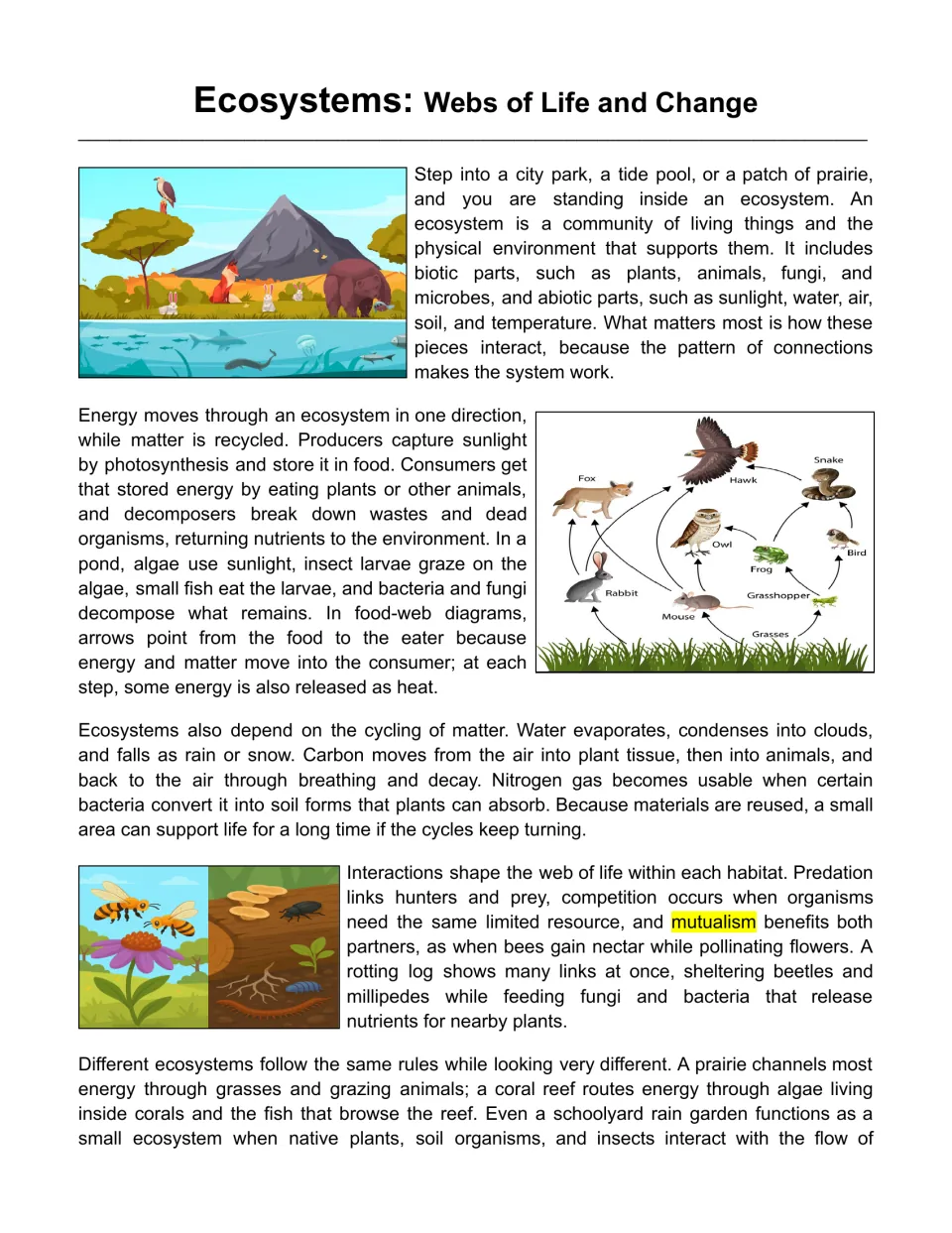 Ecosystems reading passage opening: living and nonliving parts, energy flow, matter cycles, and food webs