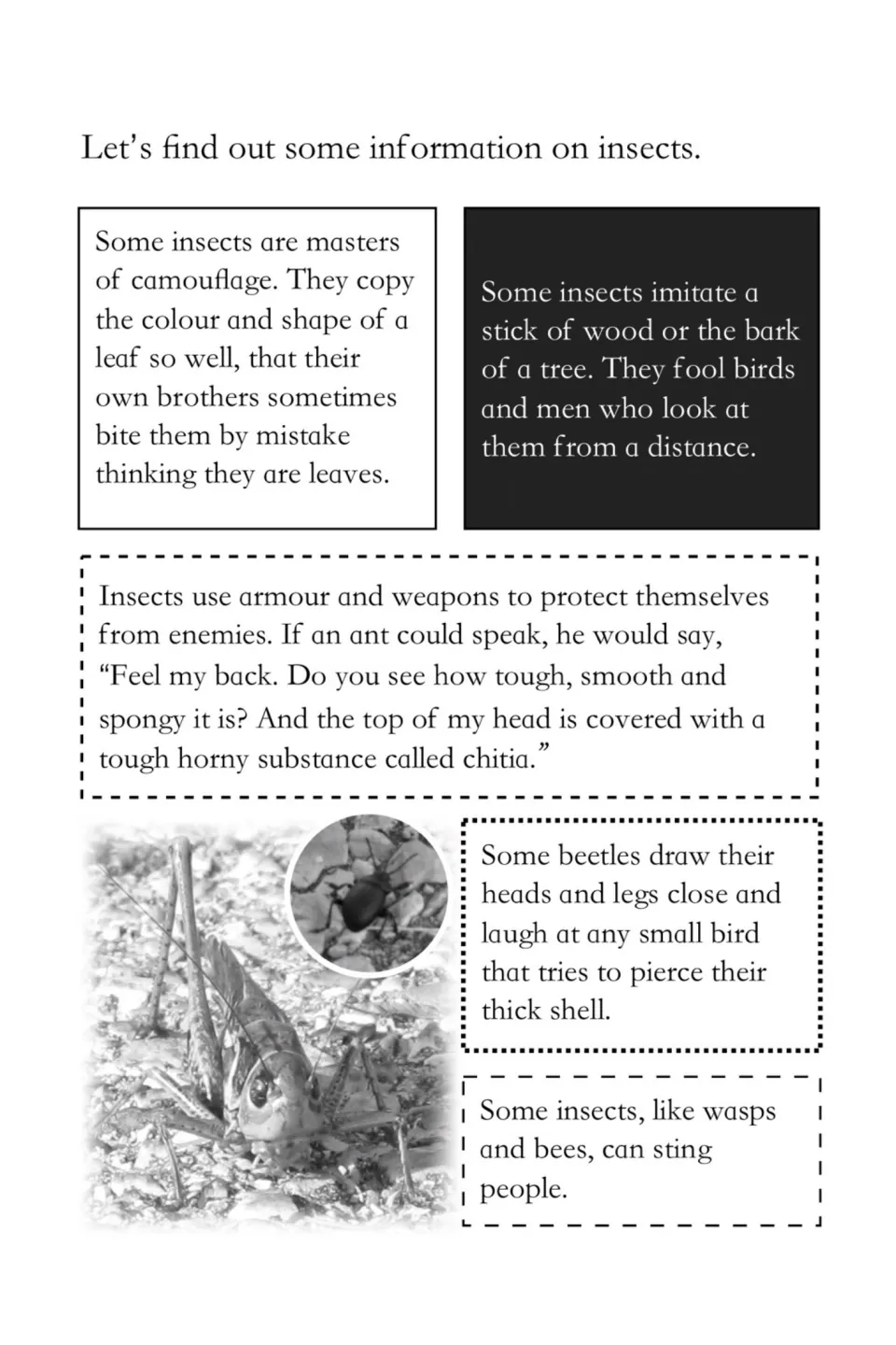 Reading passage: insects using leaf and bark camouflage, ant chitia armour, beetle shells and stinging wasps and bees