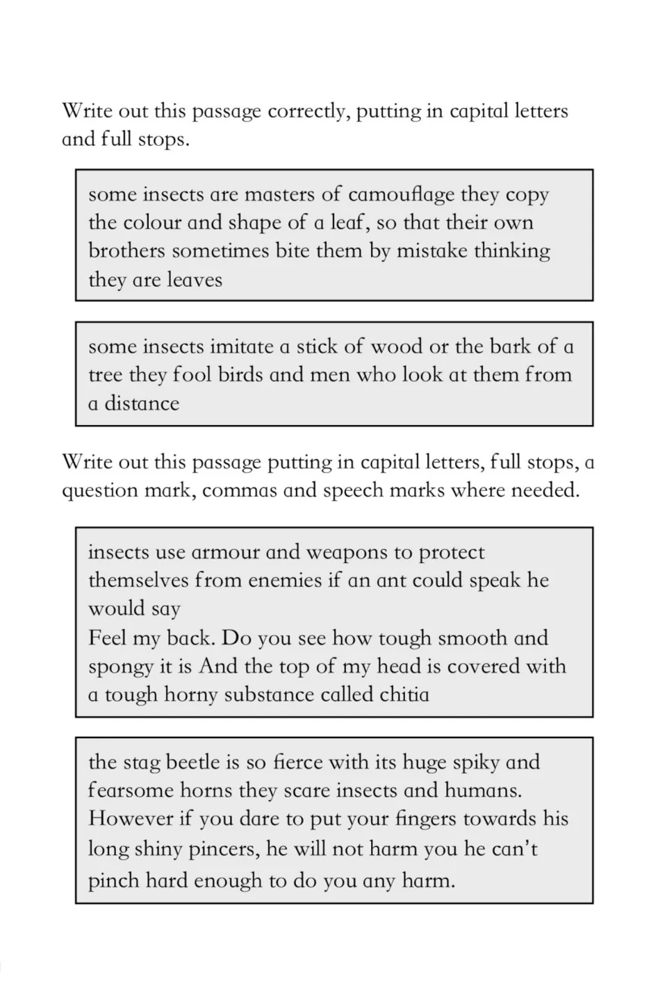 Punctuation practice: students rewrite four insect passages, adding capital letters, full stops, commas and speech marks