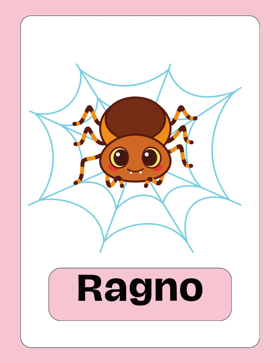 Italian vocabulary flashcard 4: 'Ragno' (spider), illustrated with a brown and orange spider on its web