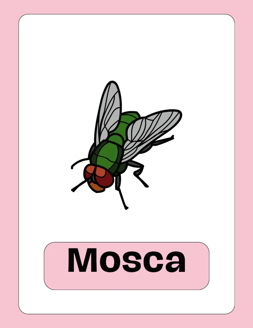Italian vocabulary flashcard 6: 'Mosca' (fly), illustrated with a green fly with red eyes and gray wings