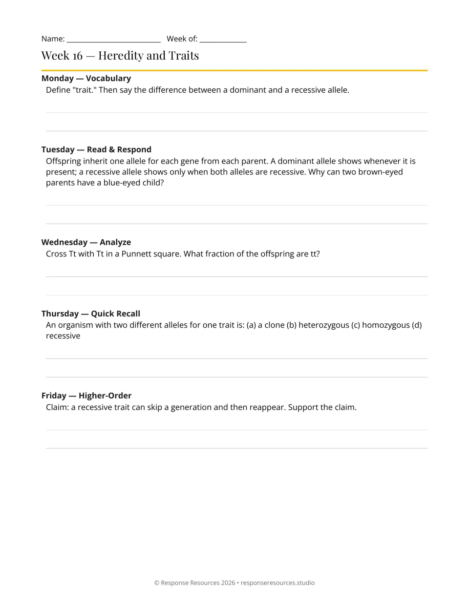 Week 16 bell-ringers: five prompts on heredity, dominant and recessive alleles, and a Tt × Tt Punnett square