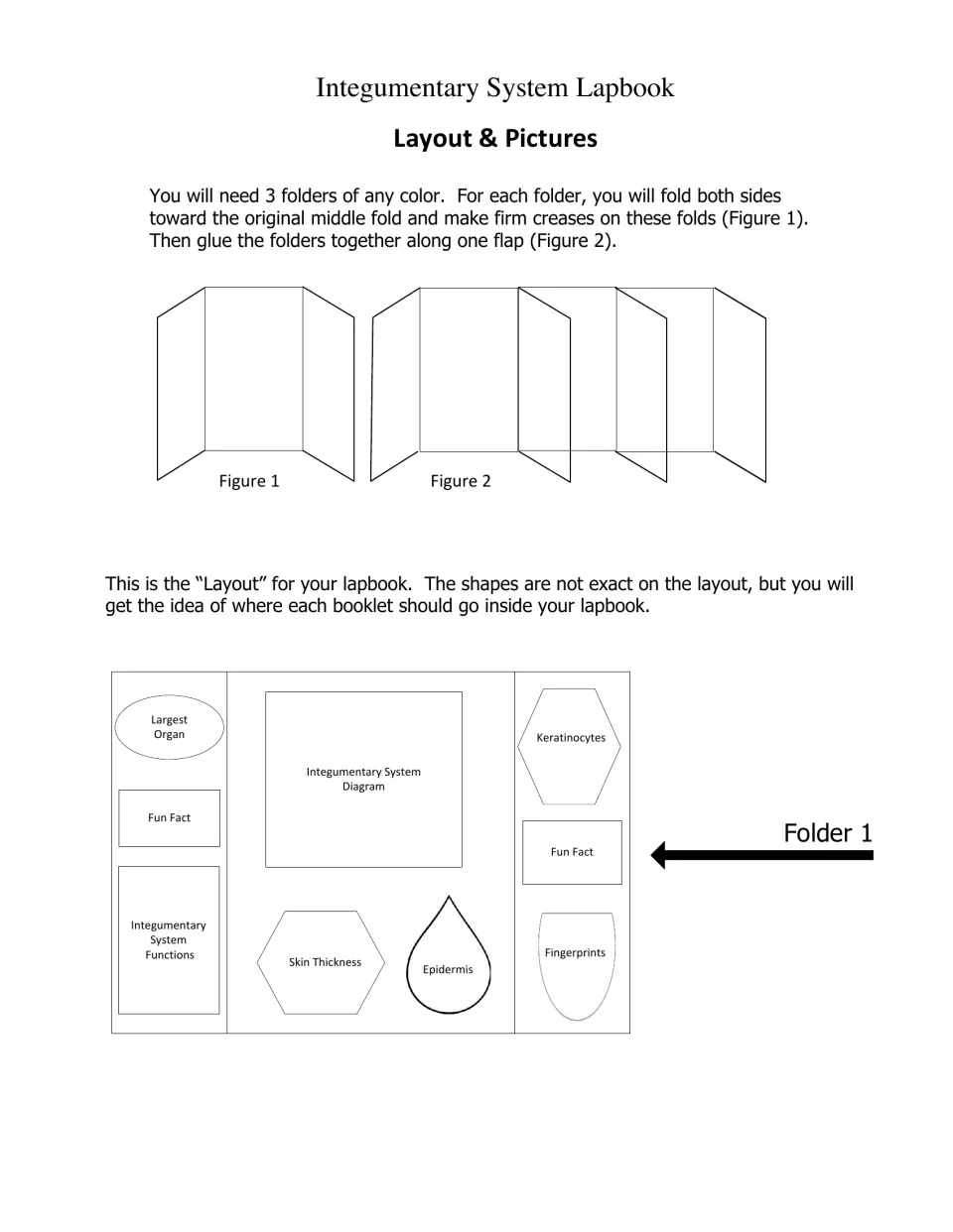 Folding steps for 3 folders plus a Folder 1 placement map for Largest Organ, Skin Thickness, Epidermis and Fingerprints
