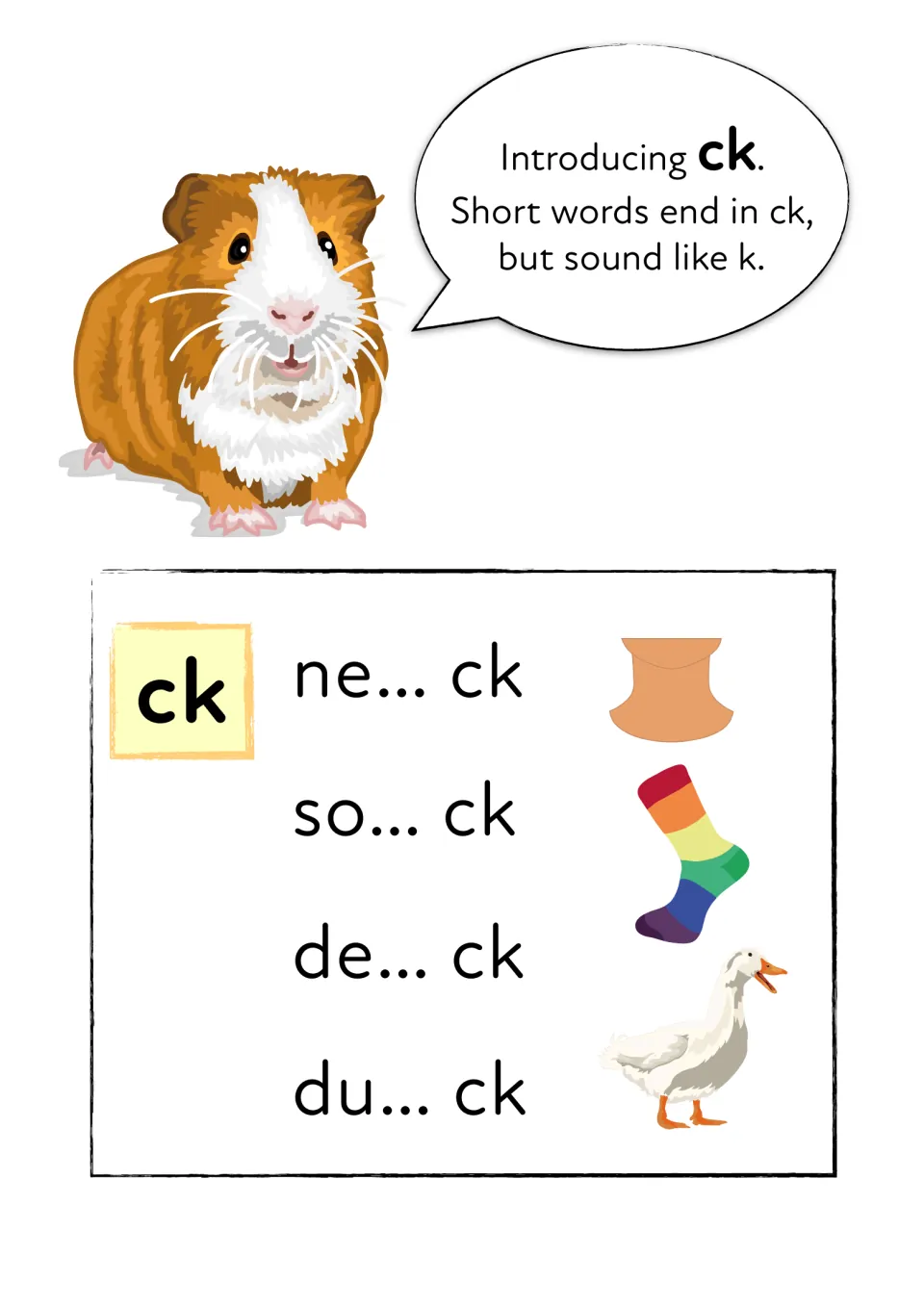 Introduction to the ck ending models neck, sock, deck, and duck, explaining that ck sounds like k
