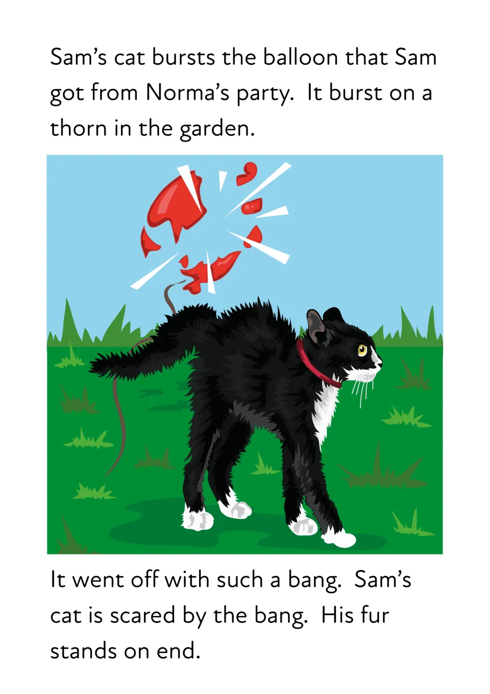 Story reading: Sam's cat bursts the balloon from Norma's party on a thorn in the garden and its fur stands on end