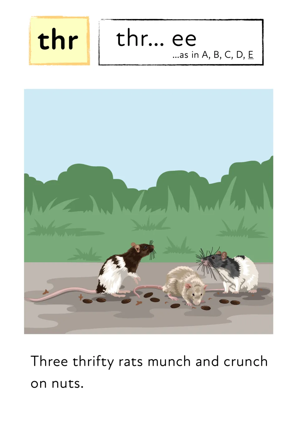 Blend thr: students sound out thr... ee and read 'Three thrifty rats munch and crunch on nuts' beside a rat picture