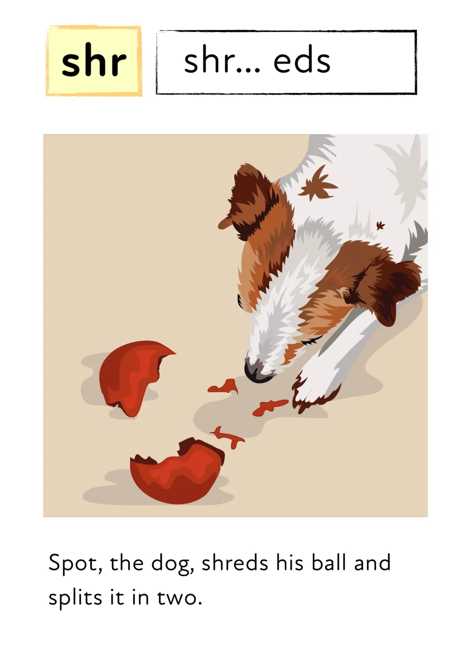 Blend shr: students sound out shr... eds and read 'Spot, the dog, shreds his ball and splits it in two' by a split ball