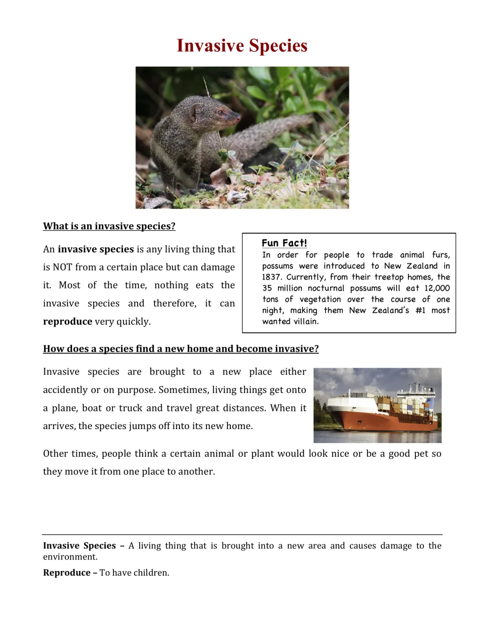 Invasive species article opener: students read what invasive species are, how they travel by ship, plus a possum fun fact