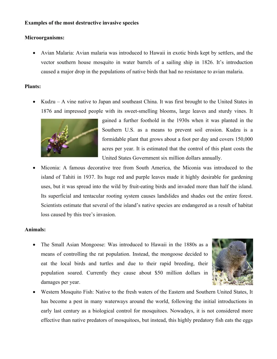 Destructive invasive species case studies: avian malaria, kudzu, miconia, small Asian mongoose and western mosquito fish