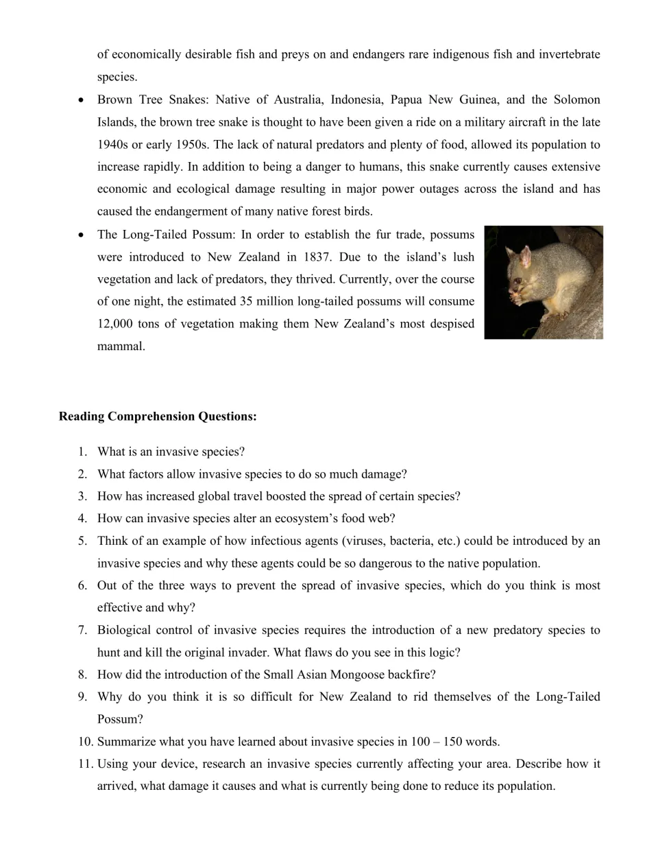 Brown tree snake and long-tailed possum examples, then 11 comprehension questions ending in a summary and local research