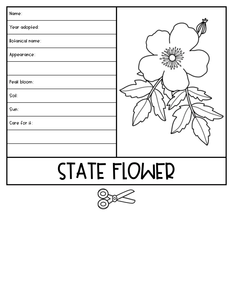 State flower flap: students note name, year adopted, botanical name, appearance, peak bloom, soil, sun and care tips