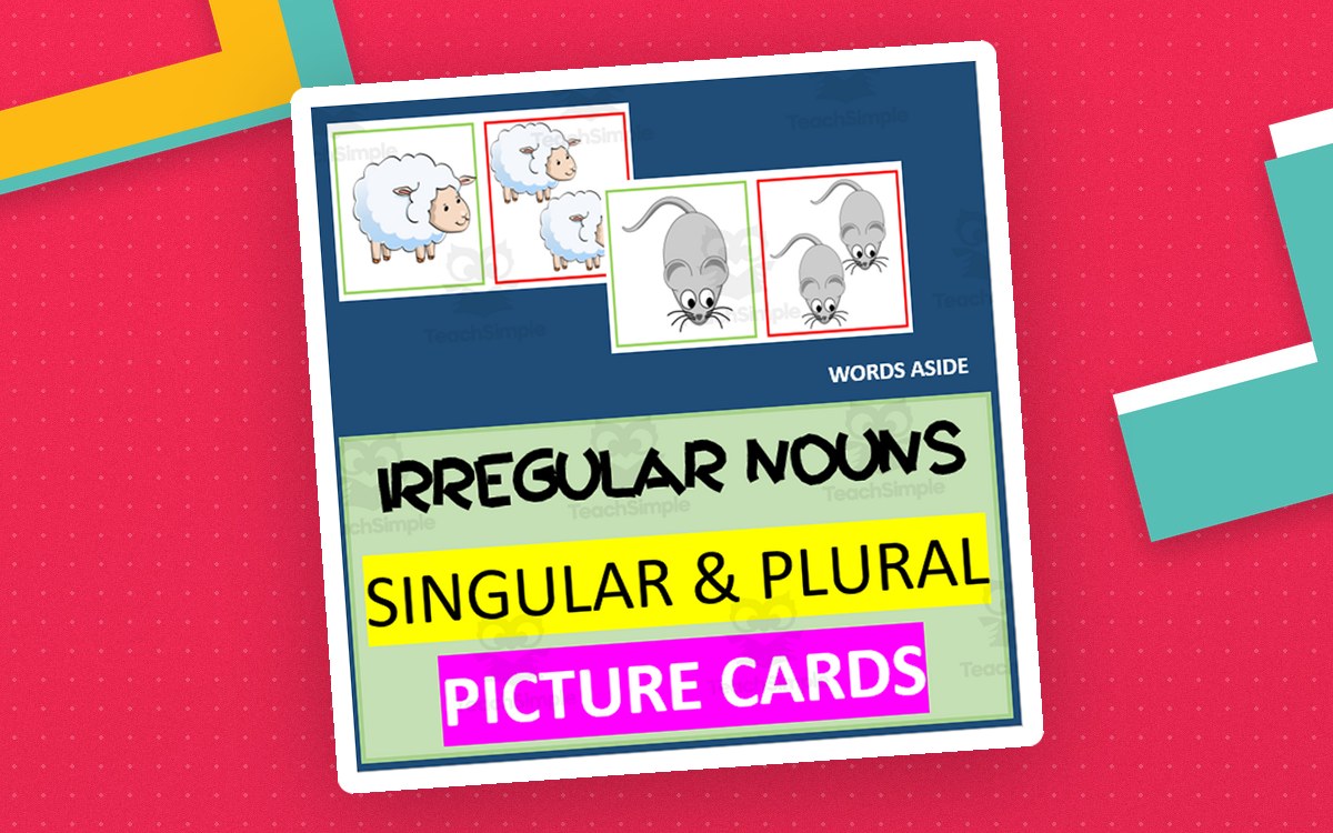 IRREGULAR NOUNS | SINGULAR PLURAL COLOR IMAGES/PICTURES preview