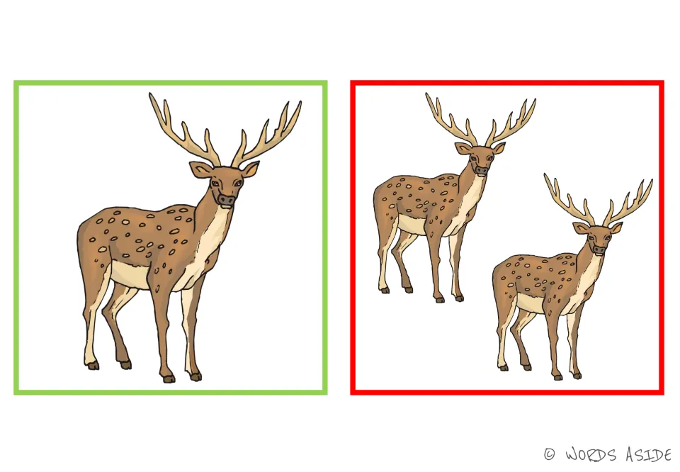 Deer picture card: one spotted animal with antlers beside a matching pair, for a noun whose plural form never changes