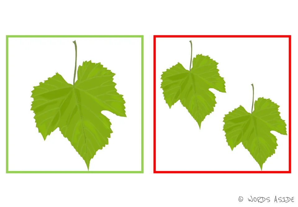Leaf and leaves card: one green grape-vine piece with a stem beside a matching pair, so students name one and many