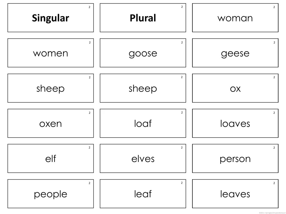 Set 2 noun cards: students pair woman, goose, sheep, ox, loaf, elf, person and leaf with plurals under Singular and Plural