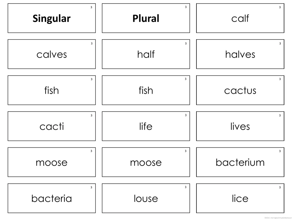Set 3 noun cards: students pair calf, half, fish, cactus, life, moose, bacterium and louse with their irregular plurals