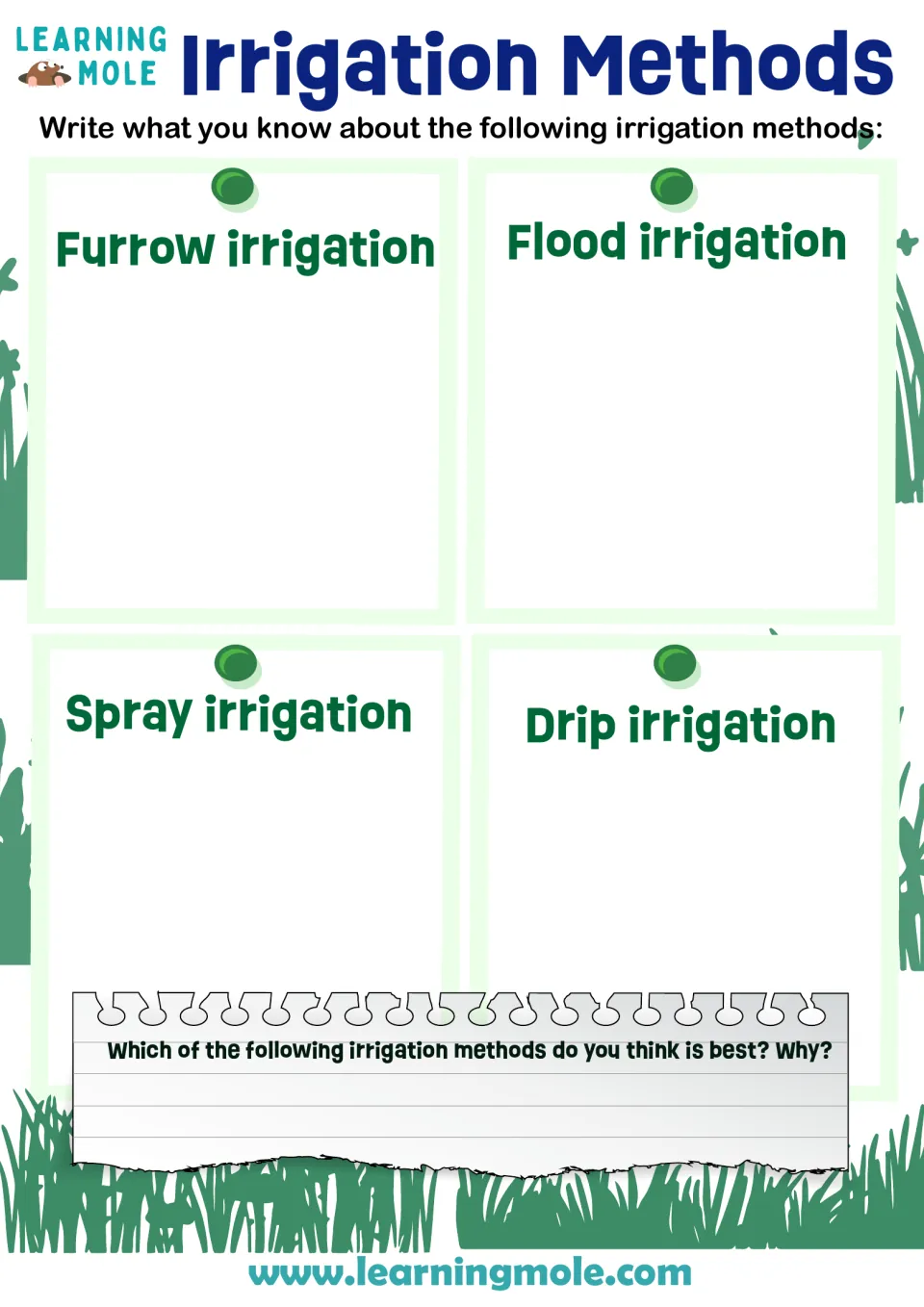 Irrigation methods: students write what they know about furrow, flood, spray and drip irrigation and argue which is best