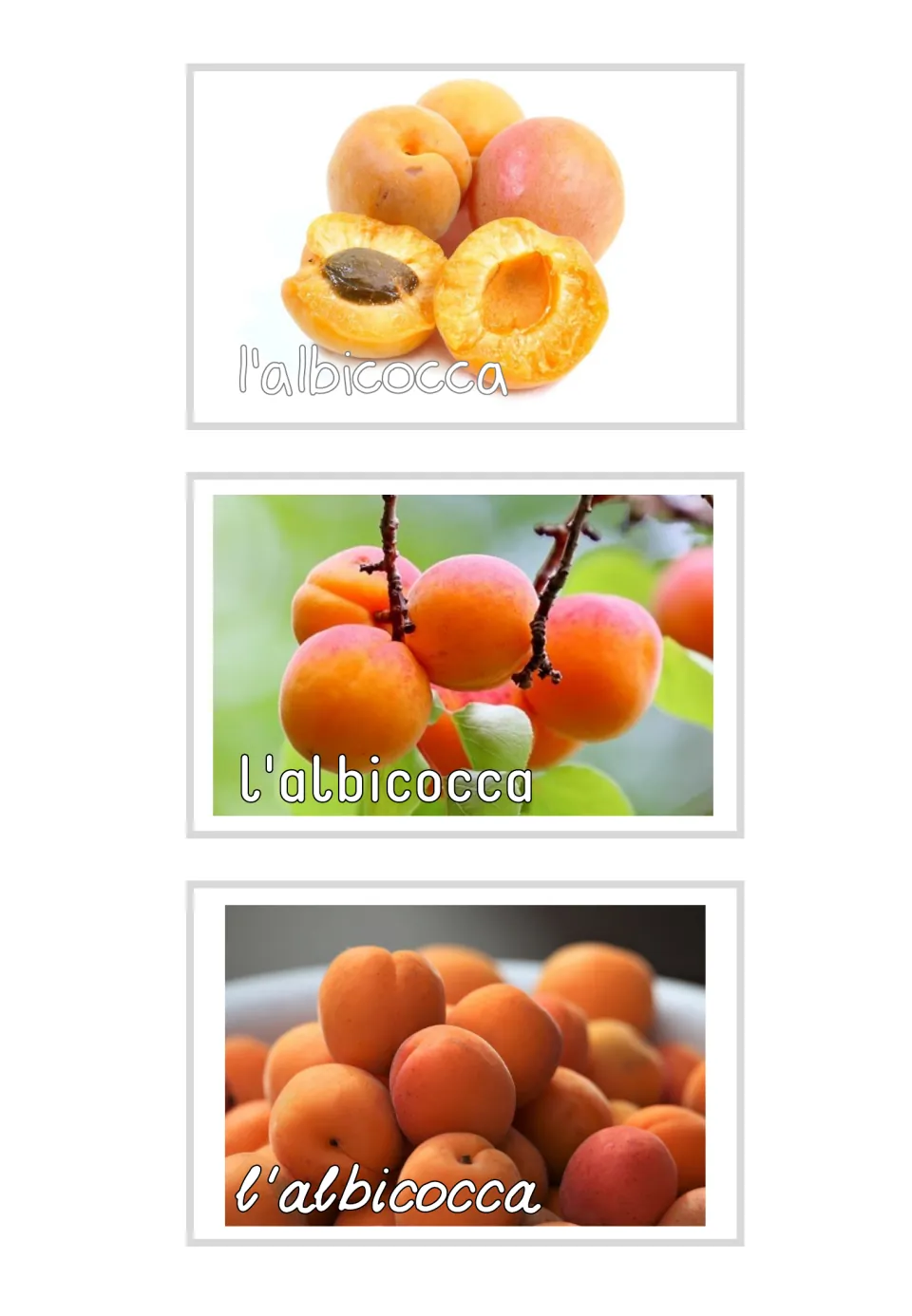 Three Italian photo flashcards labeled "l'albicocca" (apricot), showing cut fruit, branches and a fruit pile