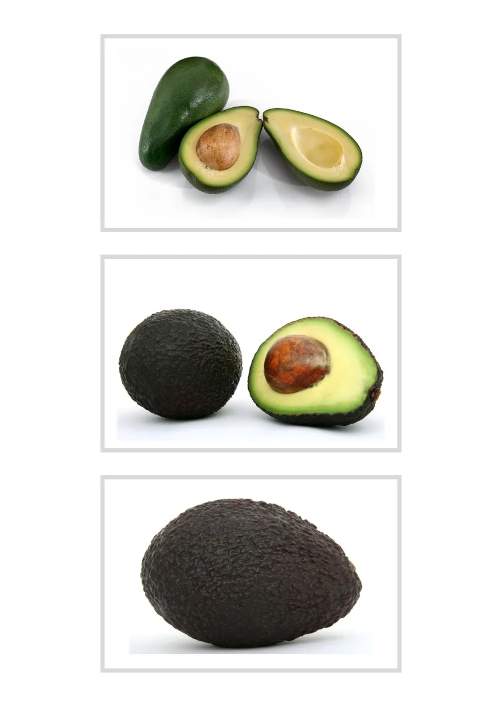 Three unlabeled avocado photo flashcards for Italian vocabulary, showing whole fruit and halves with pits