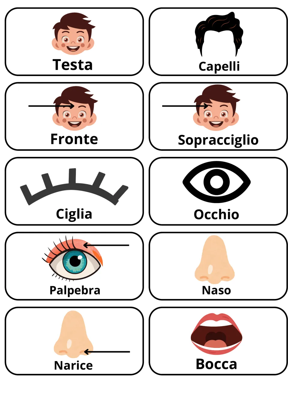 Italian head and face words: 10 picture cards for testa, capelli, fronte, occhio, naso, bocca and more, with arrows