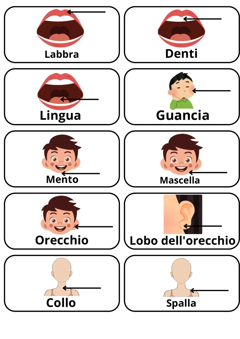 Italian mouth, ear and neck words: 10 picture cards from labbra, denti and lingua to orecchio, collo and spalla