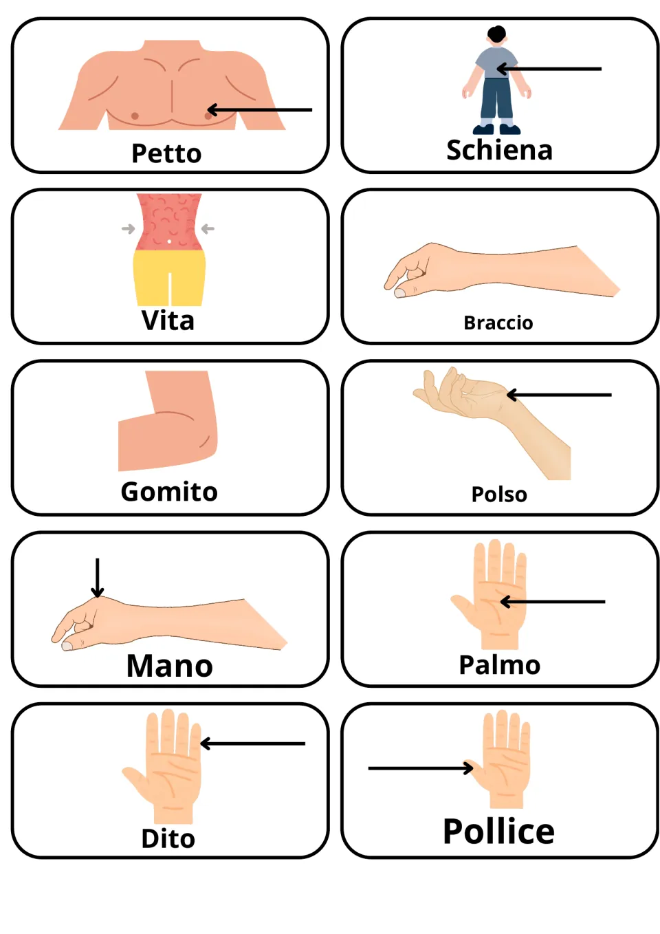 Italian torso, arm and hand words: 10 picture cards for petto, schiena, vita, braccio, gomito, polso, mano and pollice