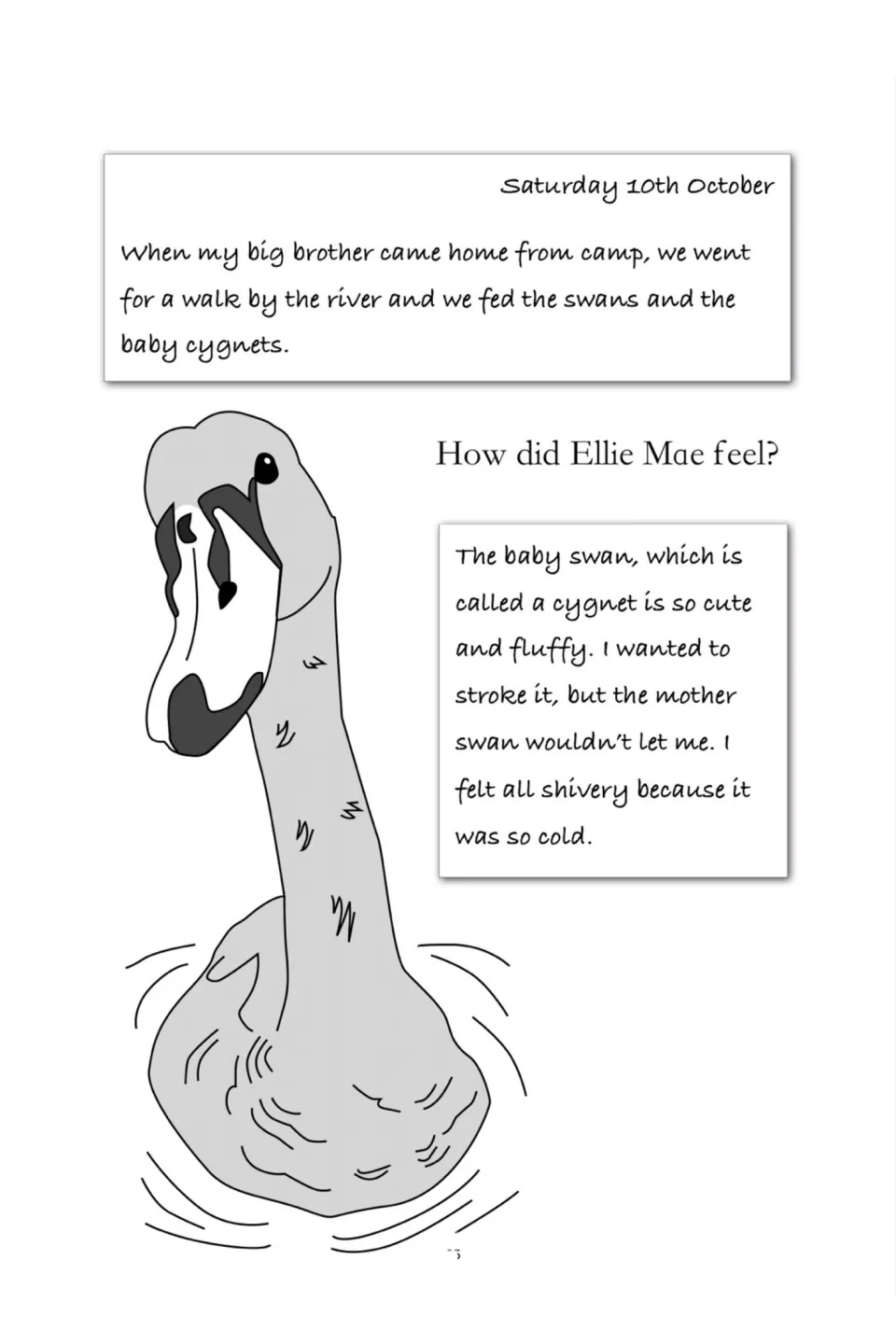 Swan diary entry: Ellie Mae feeds swans and cygnets by the river, finds the cygnet cute and feels shivery from the cold