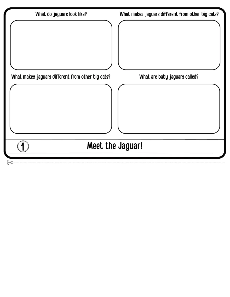 Meet the Jaguar: students answer what jaguars look like, how they differ from other big cats and what babies are called