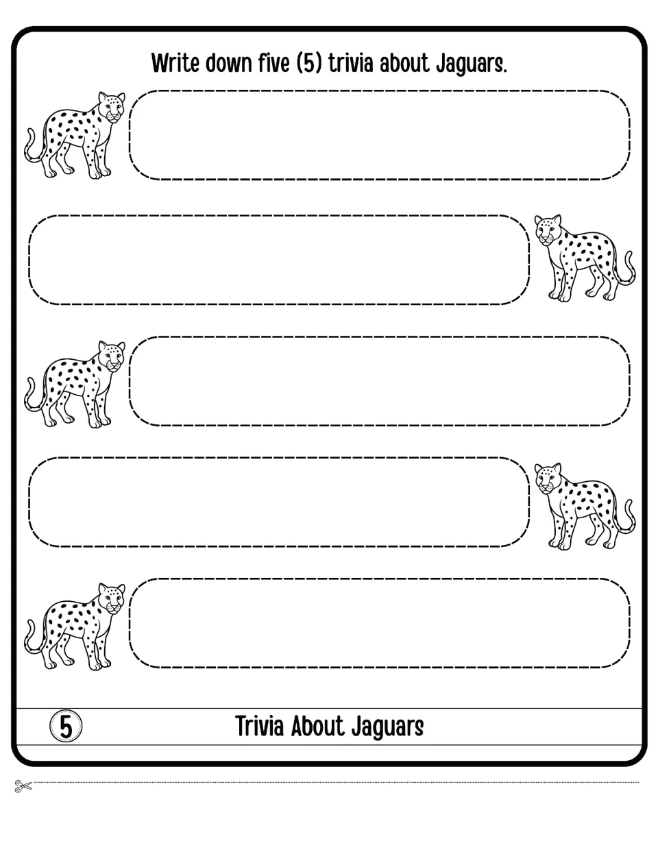 Trivia About Jaguars: students write down five jaguar trivia facts, one beside each small jaguar drawing