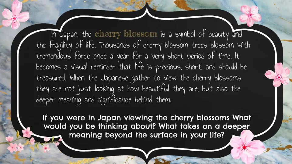 Cherry blossom bell ringer connects brief blooms to life's fragility and asks about deeper personal meaning