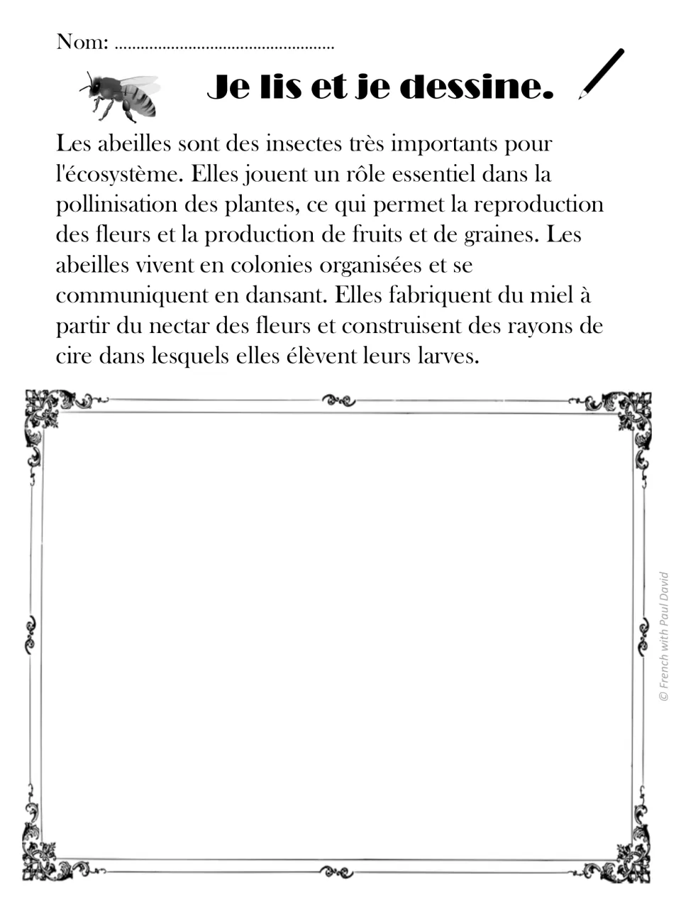 French informational text on bees, pollination, honey and wax combs: students read it and draw the key facts in the frame