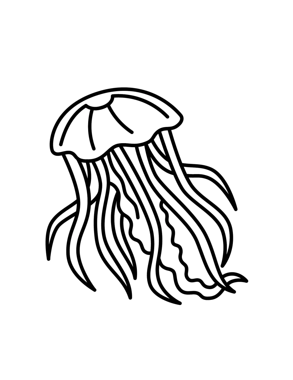 Realistic jellyfish to color: a ruffled bell trailing long wavy tentacles and frilly oral arms drawn in bold outlines