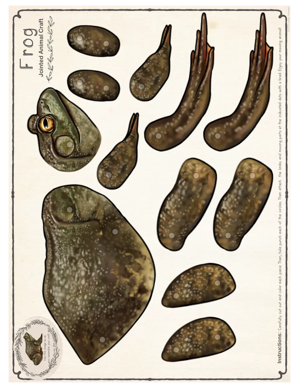 Full-color frog pieces to cut out: head, body and four legs in 12 parts, each marked with circles to hole punch for brads