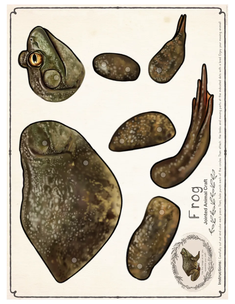 Full-color frog pieces in a larger size: head, body, one front leg and one back leg in 7 parts with circles for brads
