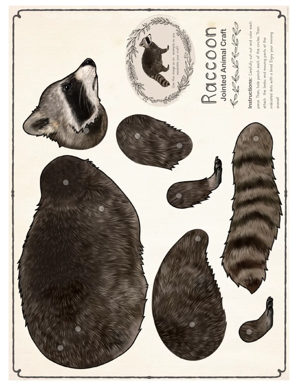 Easier color raccoon template includes a body, head, tail, and two jointed legs with marked holes