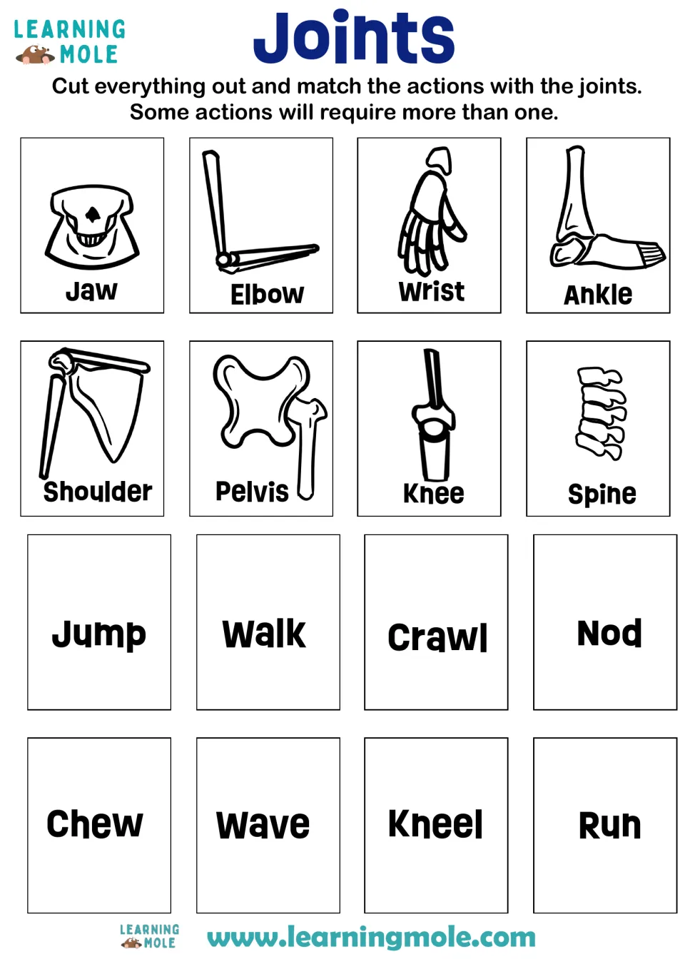 Joints matching: students cut out 8 labeled bone cards and match actions like jump, nod, chew and kneel to each joint