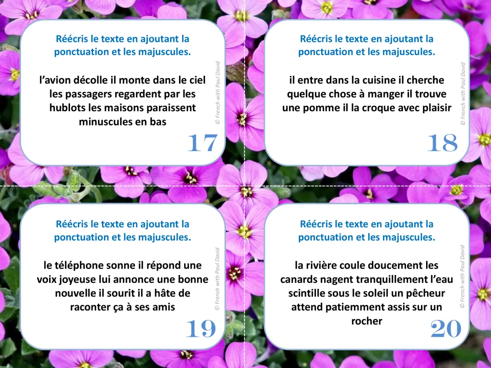 French punctuation cards 17–20: texts about a plane taking off, eating an apple, a phone call, and a river.