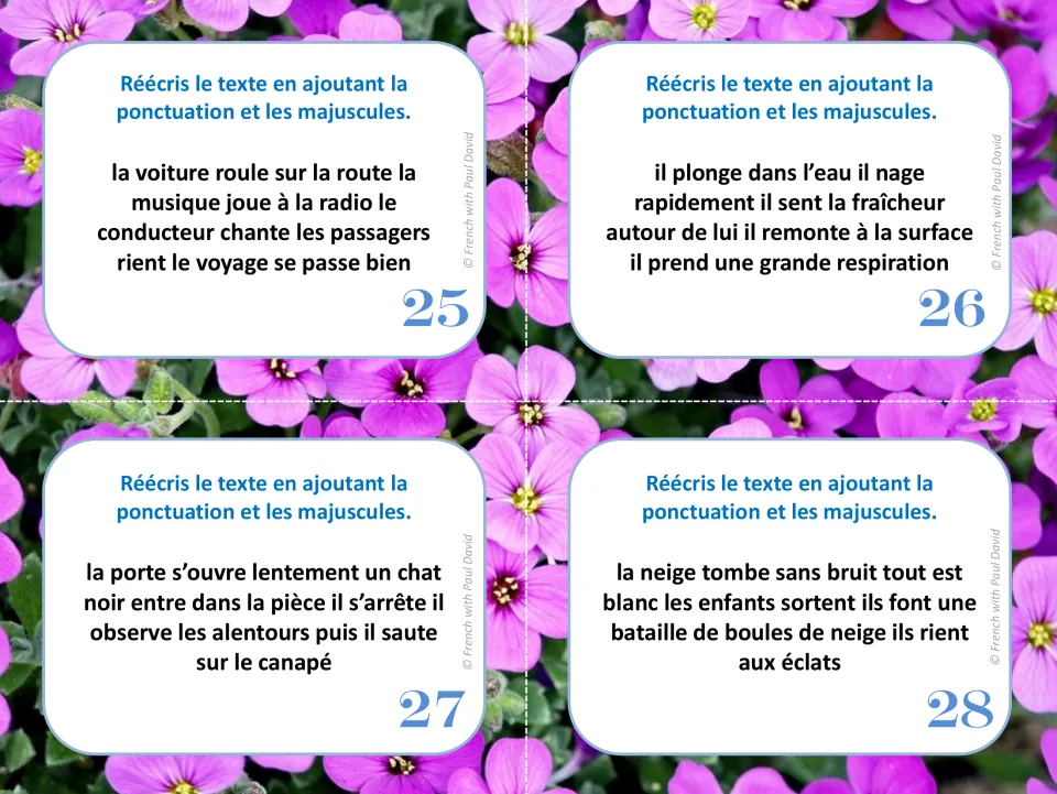 French punctuation cards 25–28: texts about a car trip, swimming, a black cat, and a snowball fight.