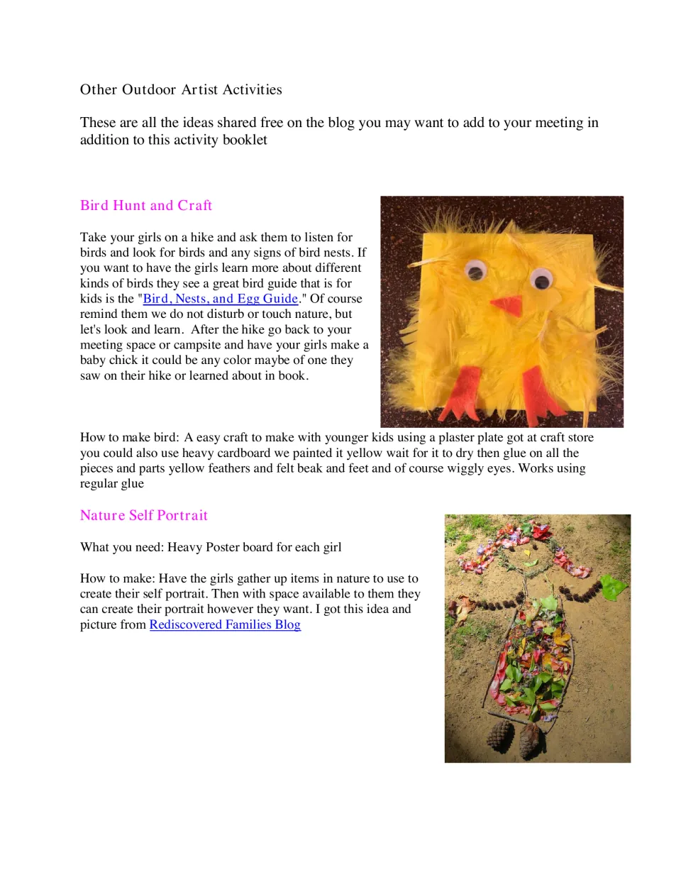 Other Outdoor Artist Activities: Bird Hunt and Craft with a feather chick and a Nature Self Portrait from leaves