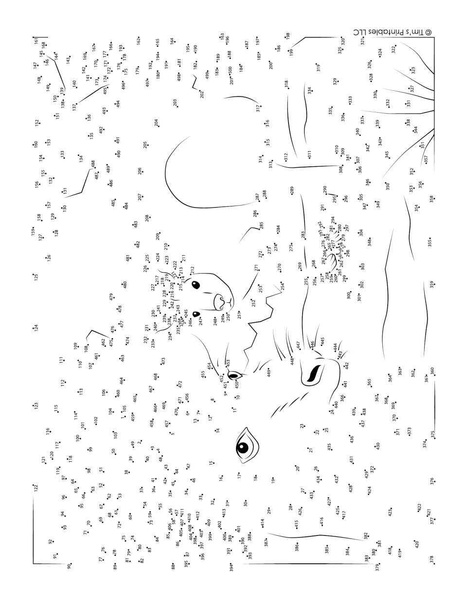 Kangaroo dot-to-dot: students join hundreds of numbered dots in order to reveal a mother kangaroo and her joey
