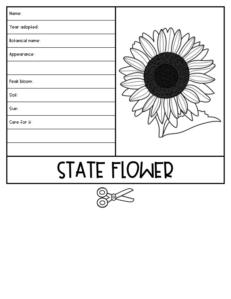 State flower flap with a sunflower drawing: students note name, year adopted, botanical name, peak bloom, soil and sun