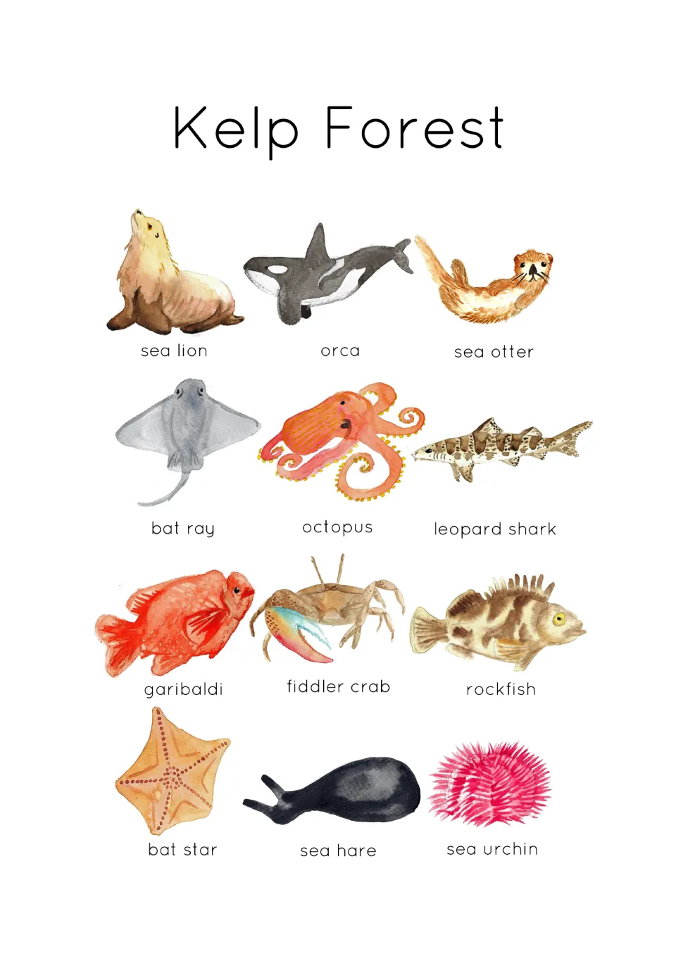 Kelp Forest identification poster showing 12 labeled animals, including sea lion, orca, sea otter and bat ray