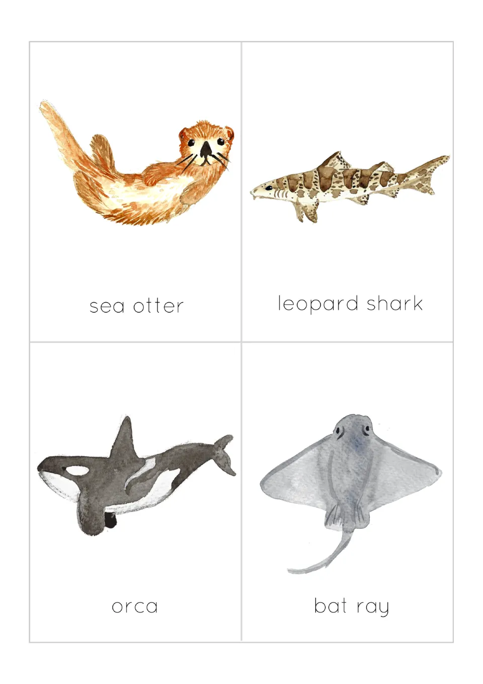 Wildlife flashcards 1–4 of 12: illustrated sea otter, leopard shark, orca and bat ray, each labeled by name
